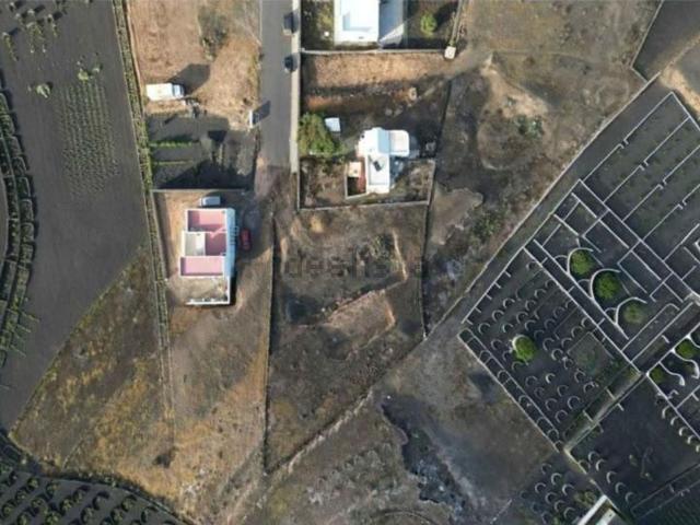 Terreno, Tinajo
