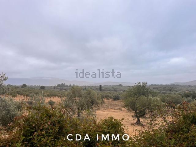 Terreno, Tirig