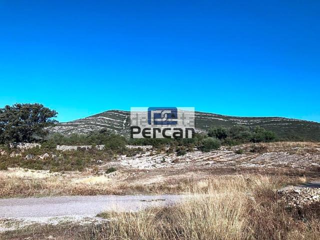Terreno, Tirig