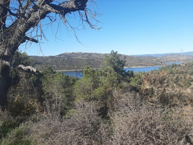Terreno, Tiurana