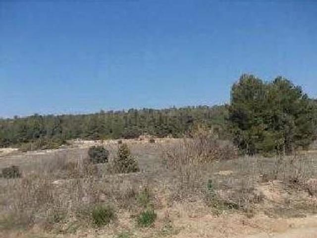 Terreno, Tivissa