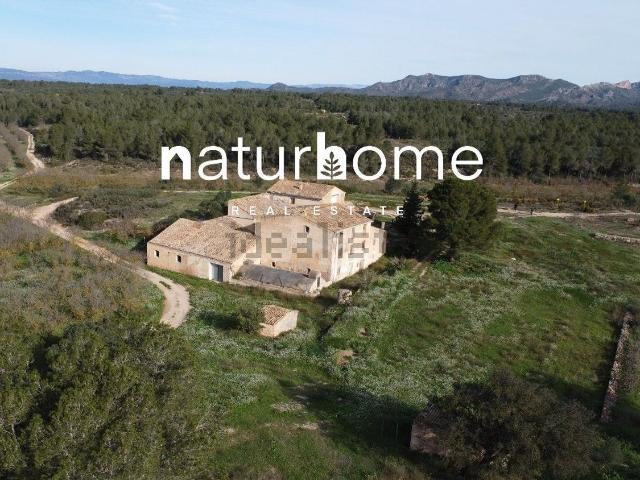 Terreno, Tivissa
