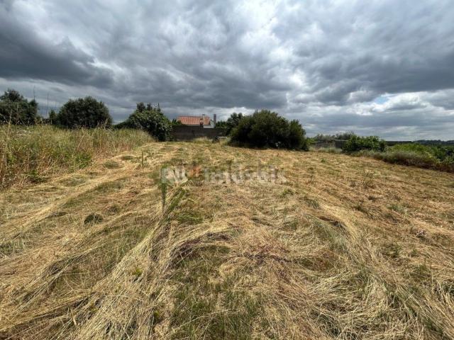 Terreno, Tomar e Santa Maria dos Olivais