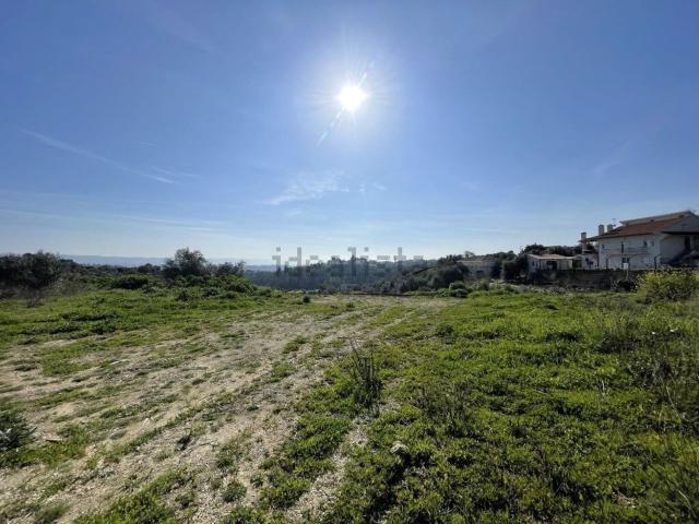 Terreno, Tomar e Santa Maria dos Olivais