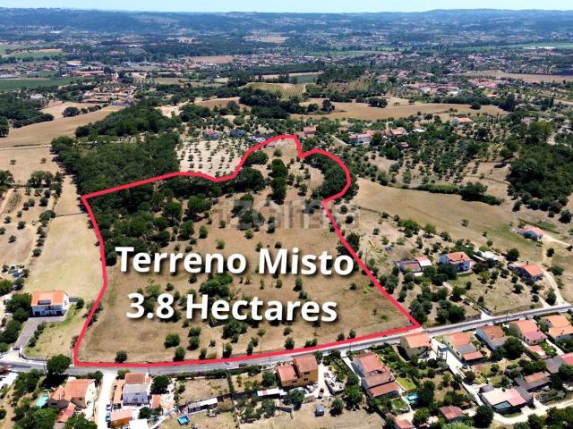 Terreno, Tomar e Santa Maria dos Olivais
