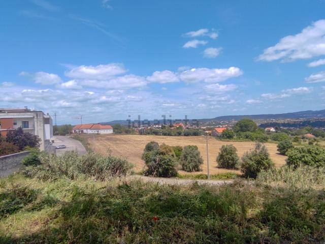 Terreno, Tomar e Santa Maria dos Olivais
