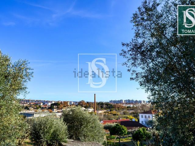 Terreno, Tomar e Santa Maria dos Olivais