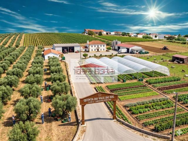 Terreno, Tomar e Santa Maria dos Olivais
