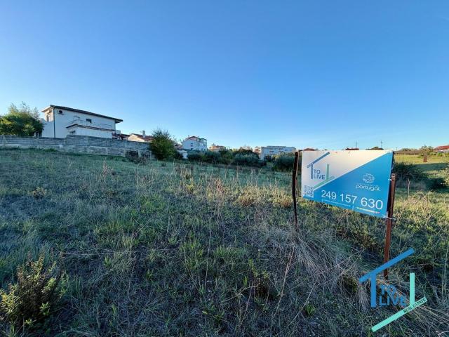 Terreno, Tomar e Santa Maria dos Olivais