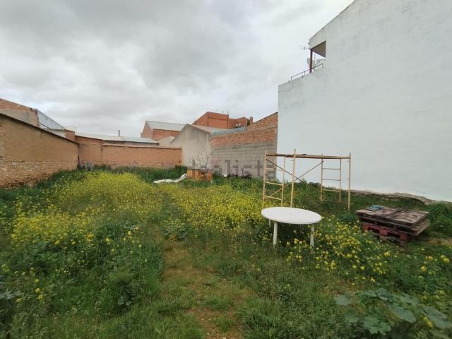 Terreno, Tomelloso