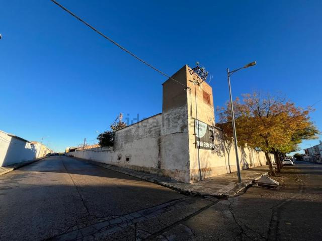Terreno, Tomelloso