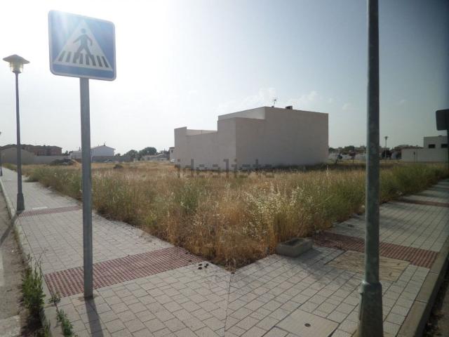 Terreno, Tomelloso