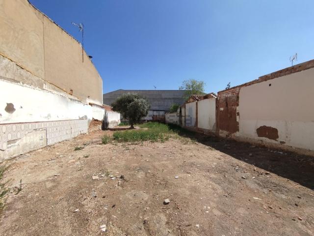 Terreno, Tomelloso