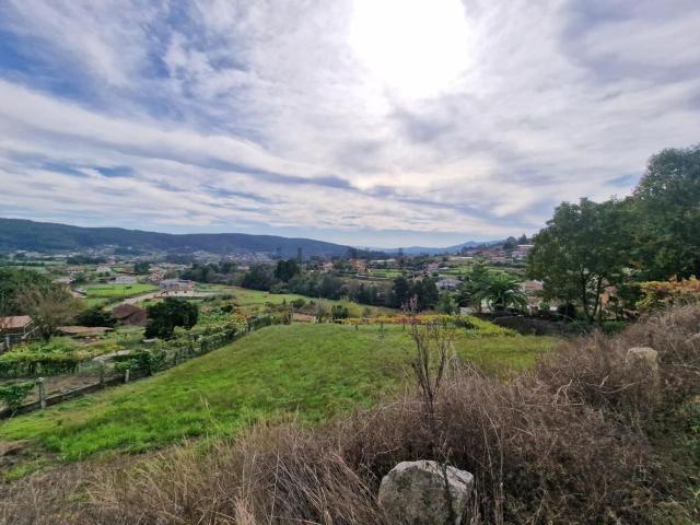 Terreno, Tomiño