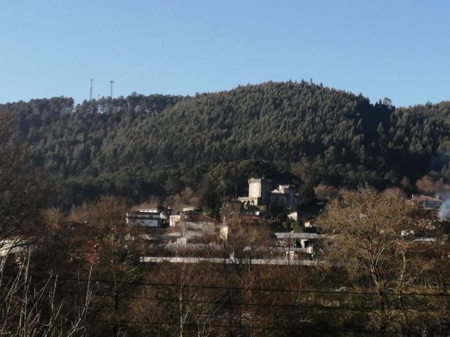 Terreno, Tomiño