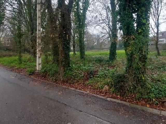 Terreno, Tomiño
