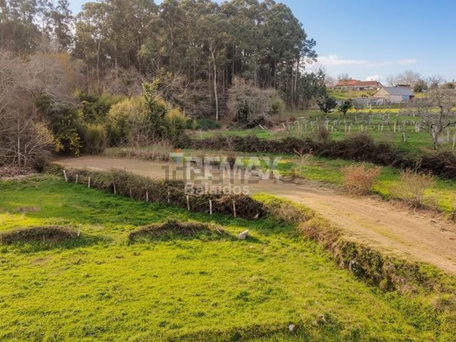 Terreno, Tomiño