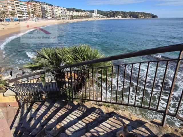 Terreno, Tossa de Mar