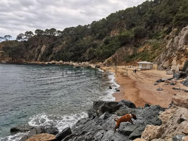 Terreno, Tossa de Mar