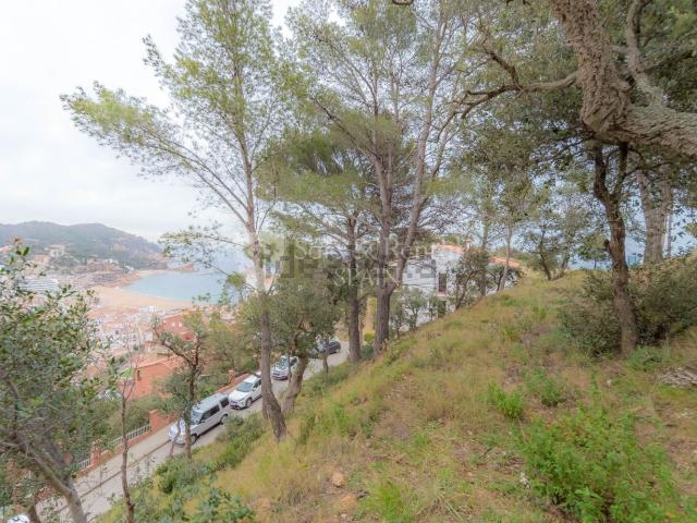 Terreno, Tossa de Mar