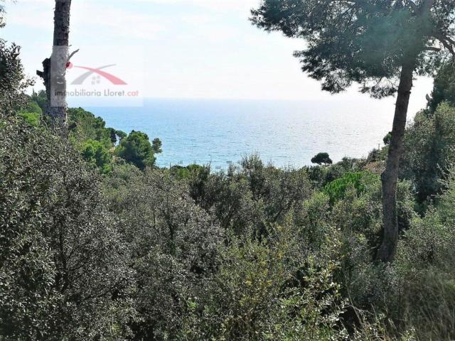 Terreno, Tossa de Mar