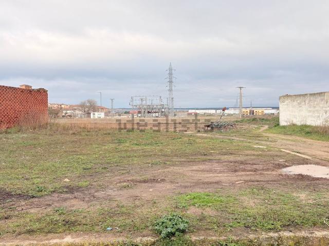 Terreno, Toro