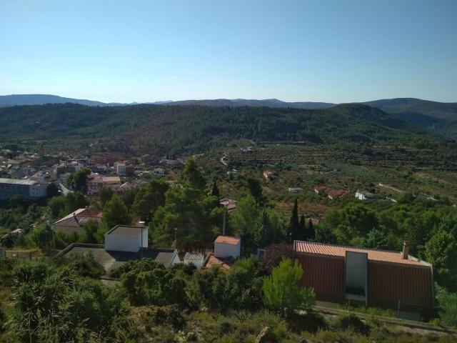 Terreno, Toras