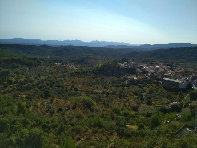 Terreno, Toras