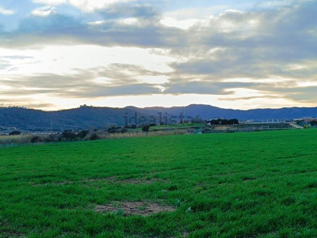 Terreno, Tordera
