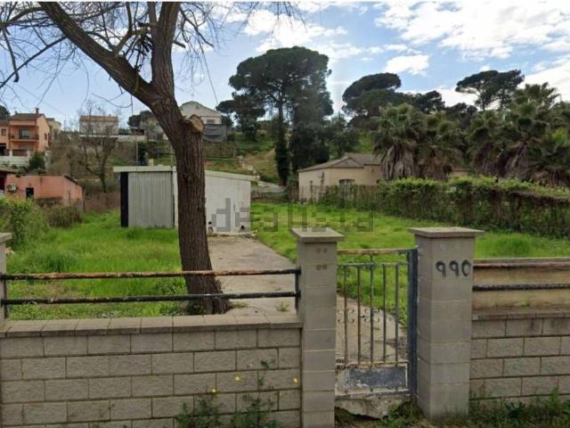 Terreno, Tordera