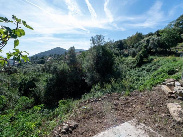 Terreno, Tordera
