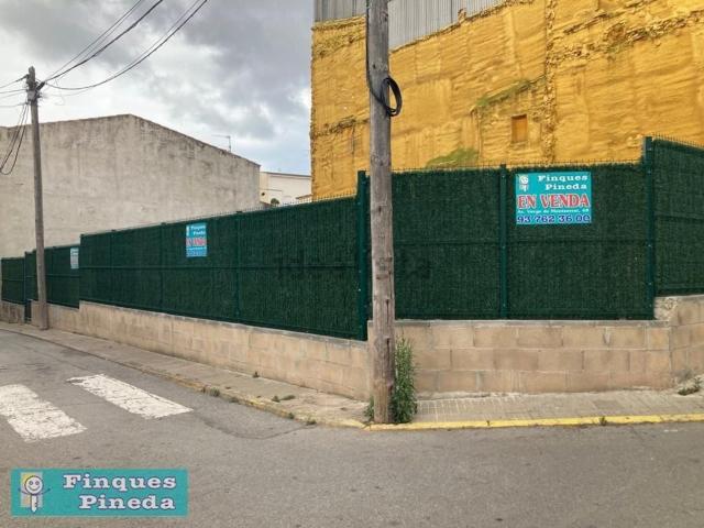 Terreno, Tordera