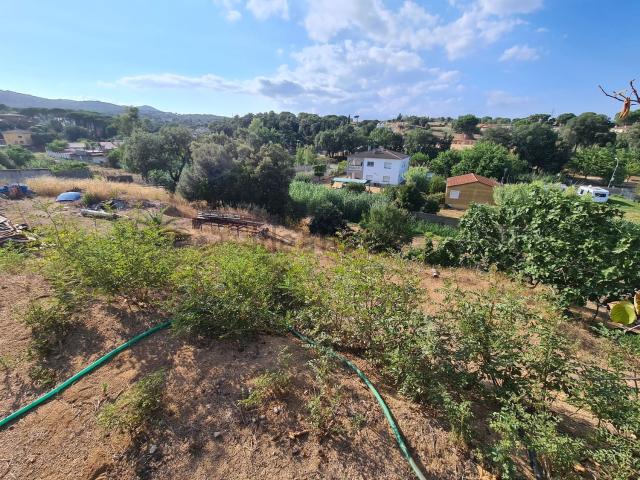 Terreno, Tordera