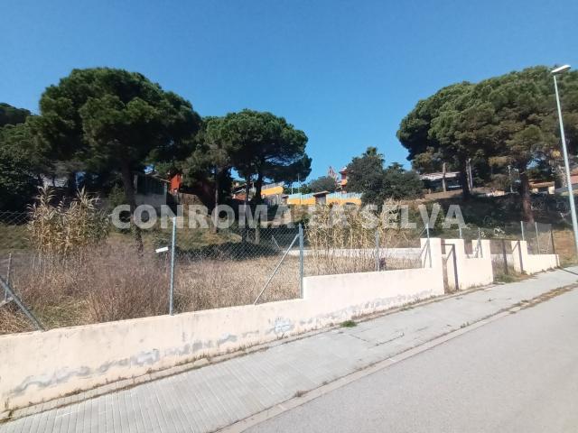 Terreno, Tordera
