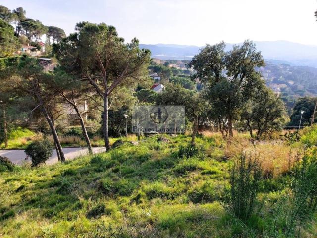 Terreno, Tordera