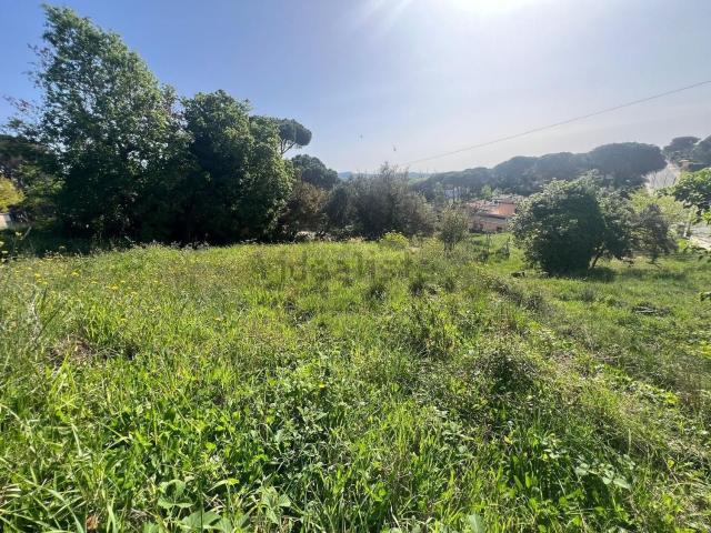 Terreno, Tordera