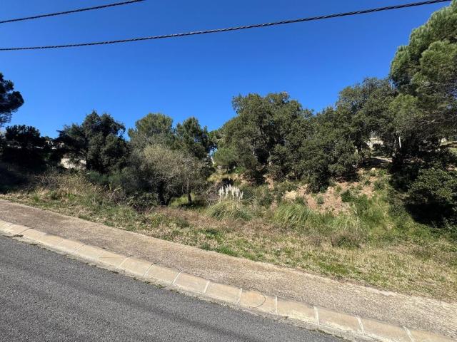 Terreno, Tordera