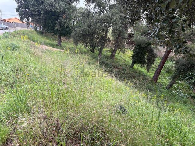 Terreno, Tordera