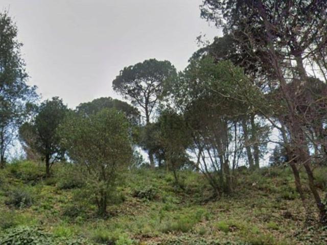 Terreno, Tordera