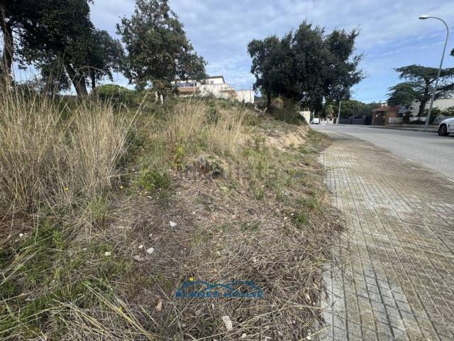 Terreno, Tordera