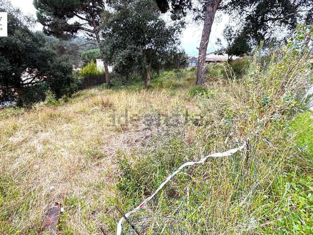 Terreno, Tordera