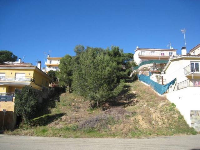 Terreno, Tordera
