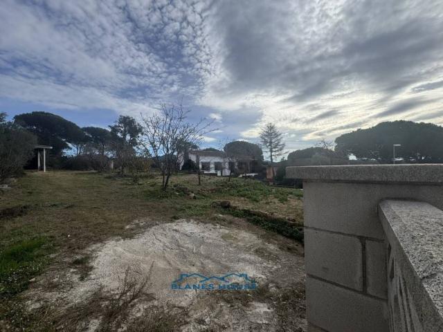 Terreno, Tordera