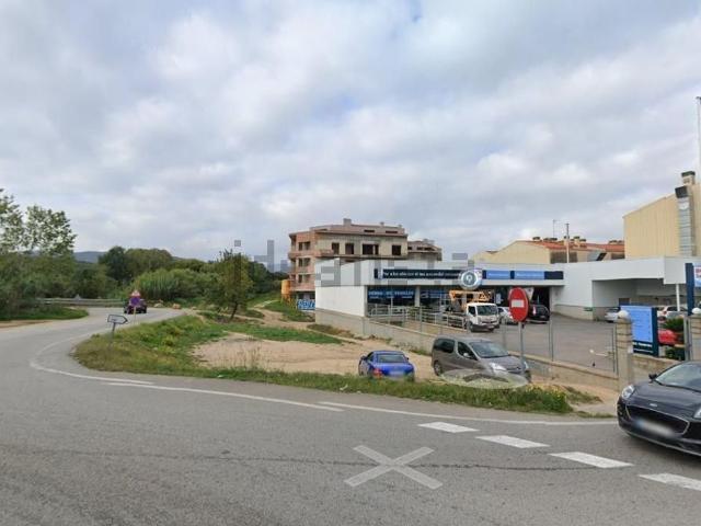Terreno, Tordera