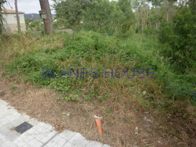 Terreno, Tordera