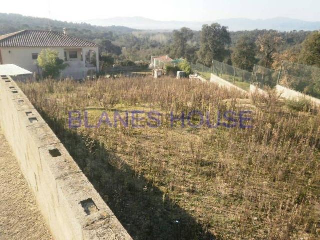Terreno, Tordera