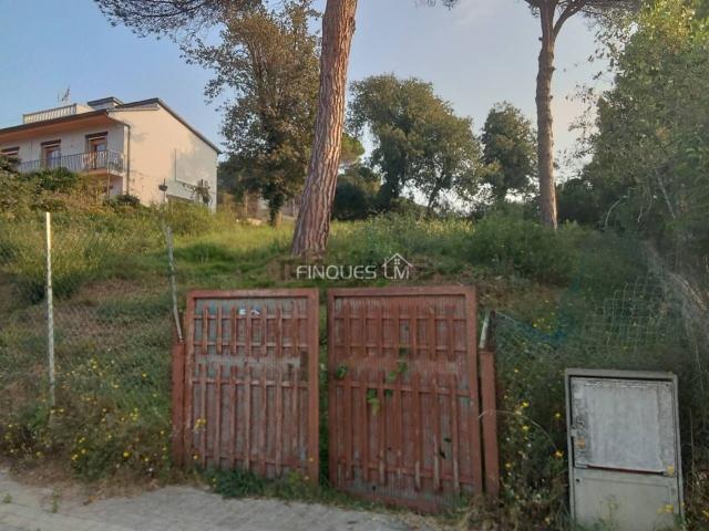 Terreno, Tordera