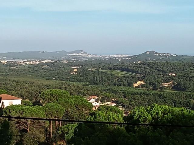 Terreno, Tordera