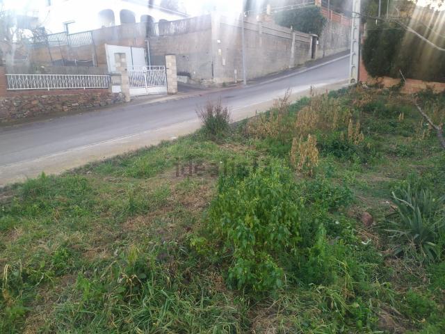 Terreno, Tordera