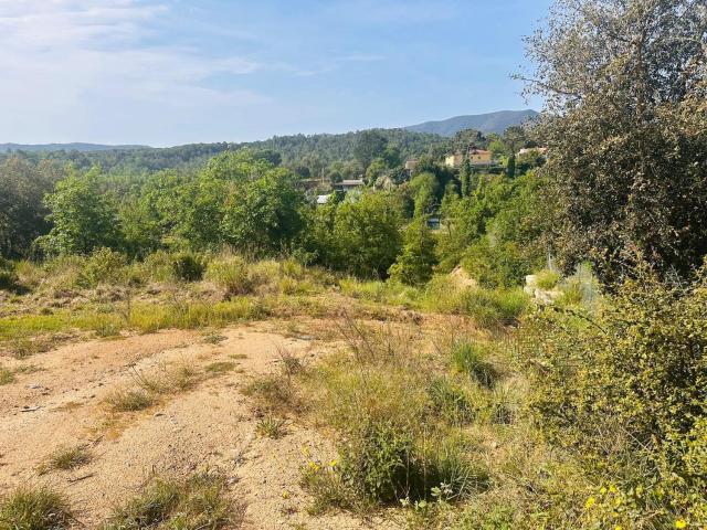 Terreno, Tordera